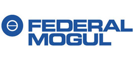 Federal Mogul