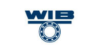 WIB